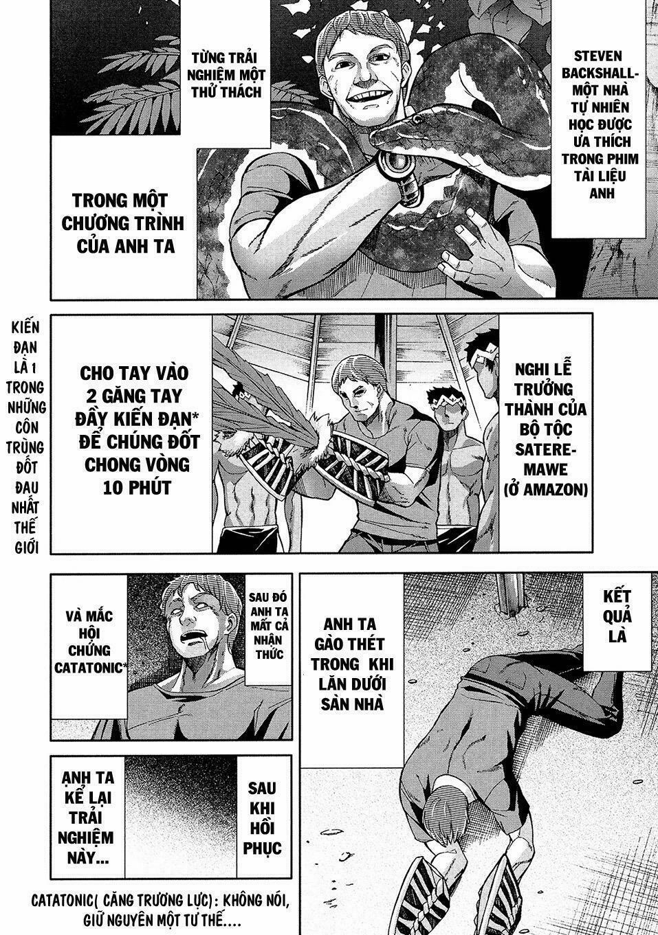 Arachnid 41 trang 14