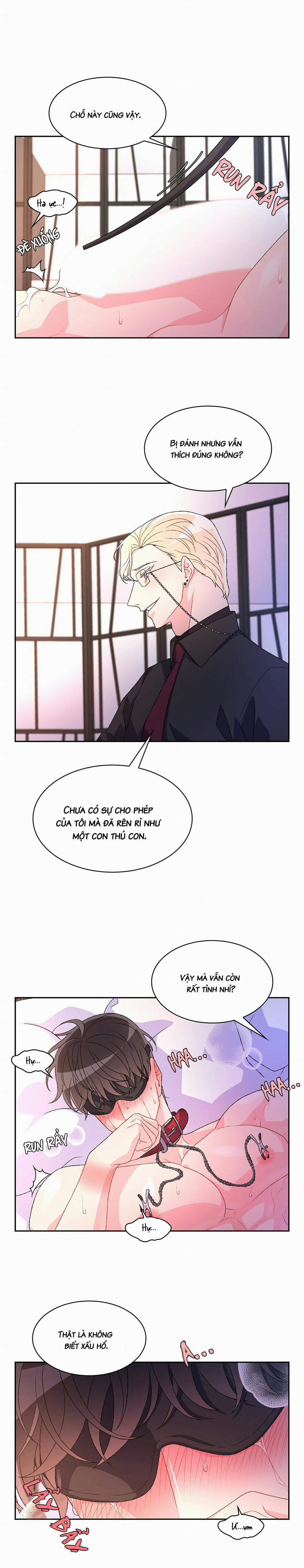 Arthur 18 trang 11