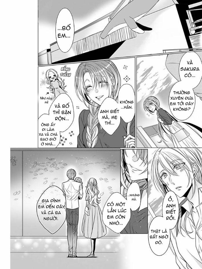 Asahina Và 4 Vị Hôn Phu Bất Đắc Dĩ 4 trang 12