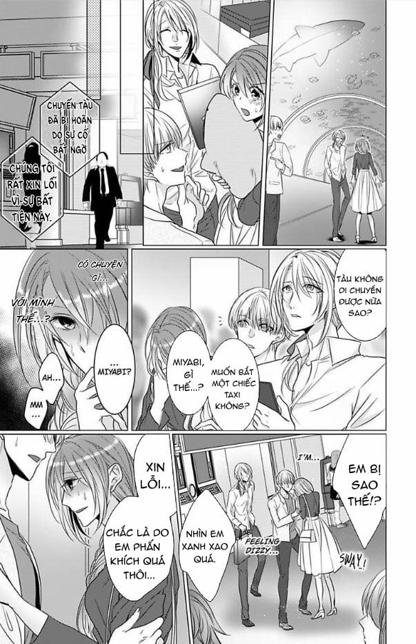 Asahina Và 4 Vị Hôn Phu Bất Đắc Dĩ 4 trang 17