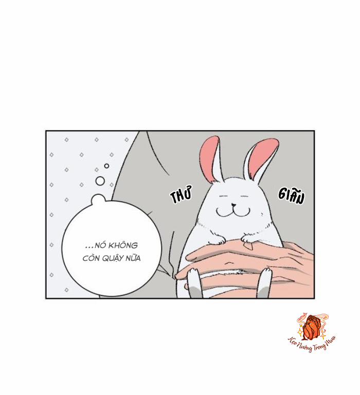 Ba Chàng Trai, Một Chú Sóc Sin-Sin 1 trang 24