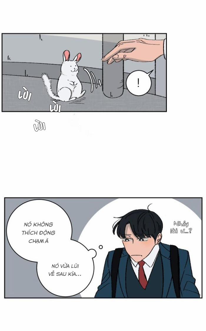 Ba Chàng Trai, Một Chú Sóc Sin-Sin 1 trang 3