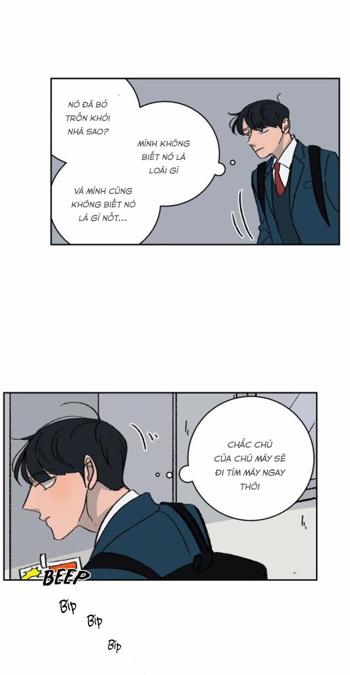 Ba Chàng Trai, Một Chú Sóc Sin-Sin 1 trang 4