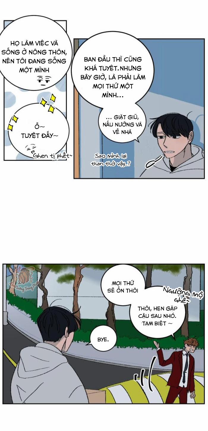Ba Chàng Trai, Một Chú Sóc Sin-Sin 2 trang 21