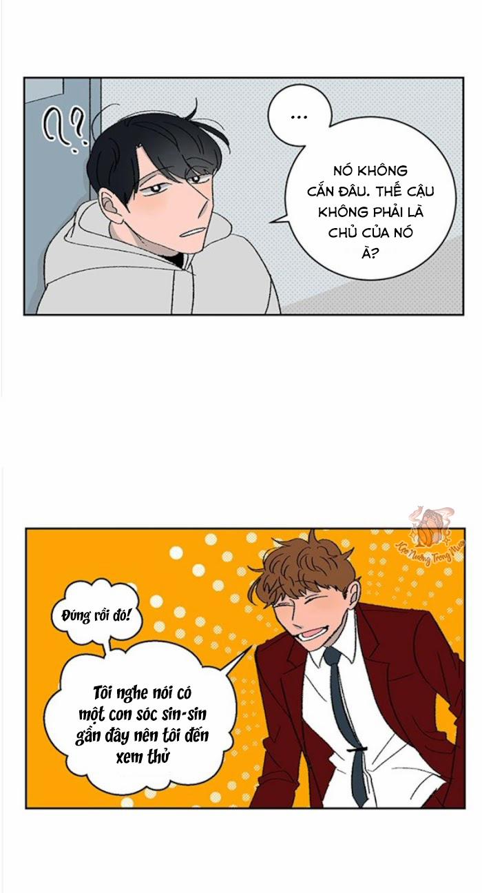 Ba Chàng Trai, Một Chú Sóc Sin-Sin 2 trang 9