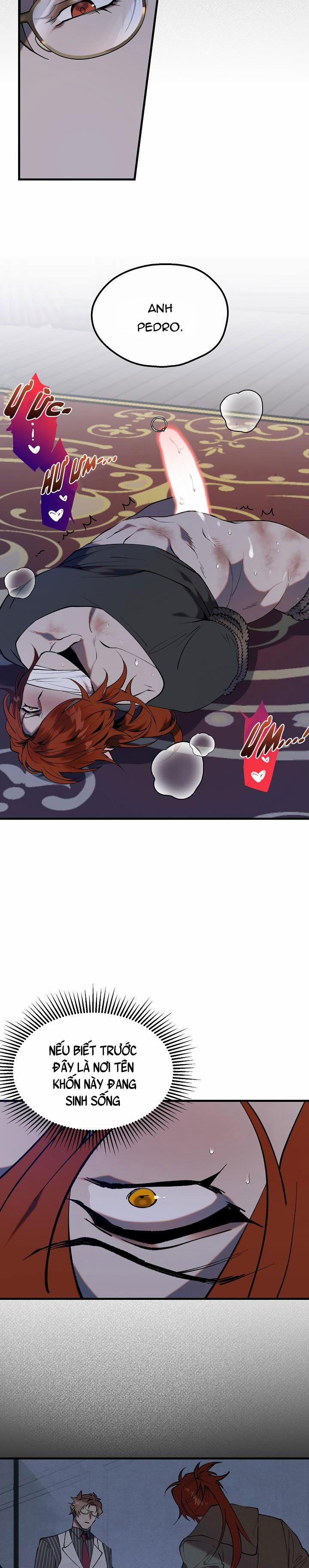 BA CHÚ HEO CON 0 trang 4