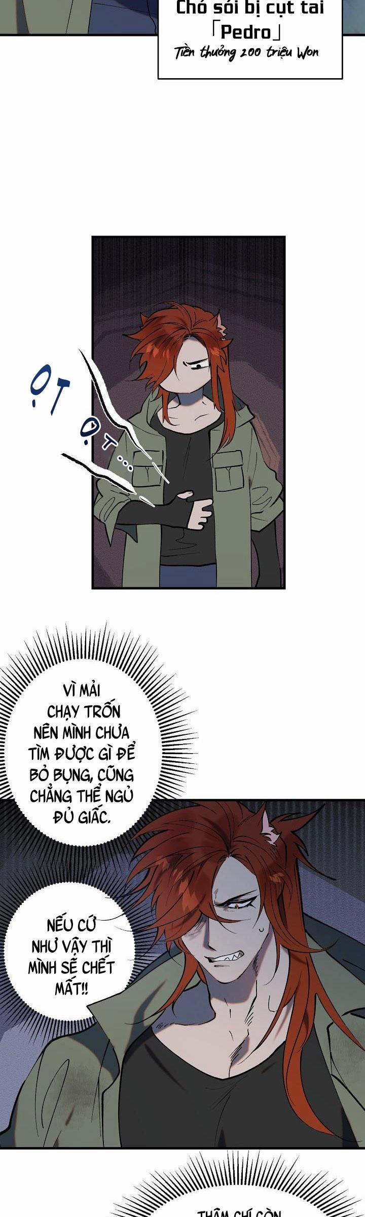 BA CHÚ HEO CON 1 trang 8