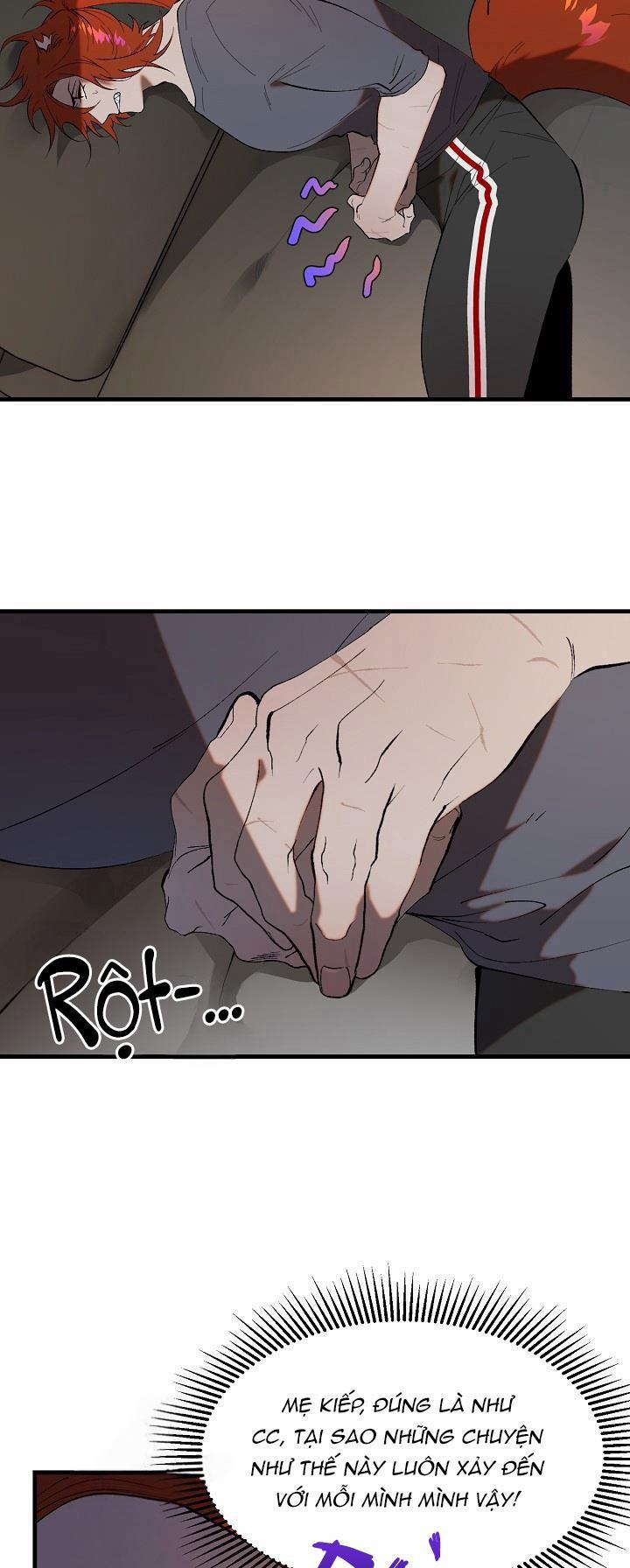 BA CHÚ HEO CON 10 trang 1