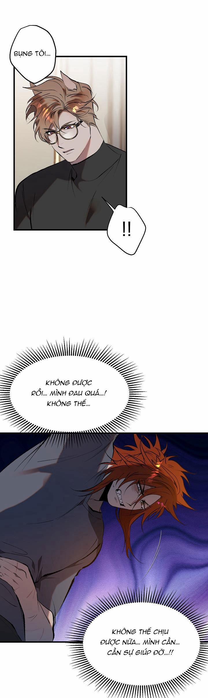 BA CHÚ HEO CON 10 trang 22