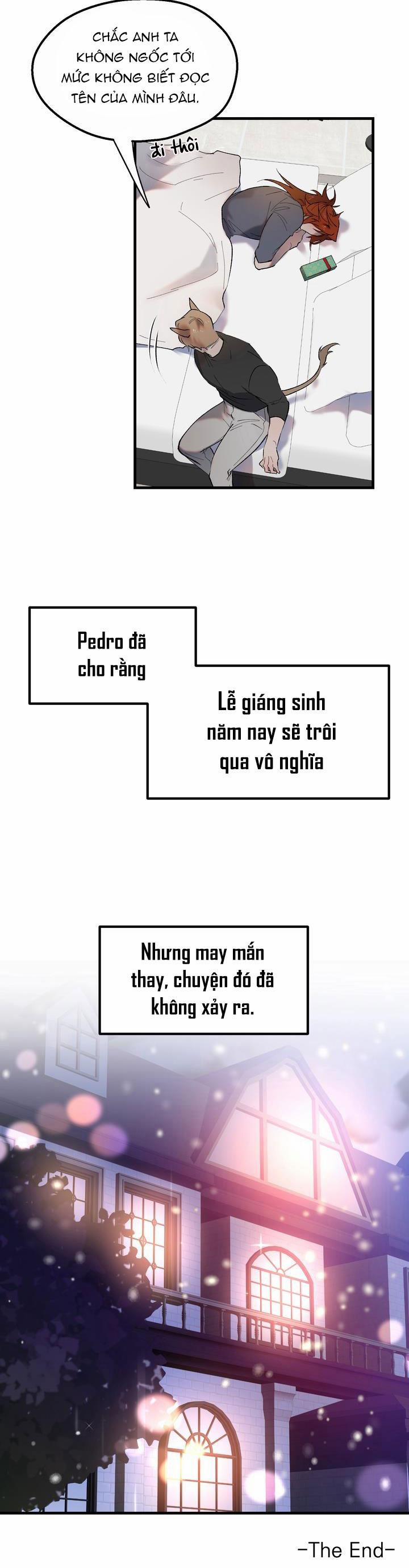 BA CHÚ HEO CON 11 0 trang 27