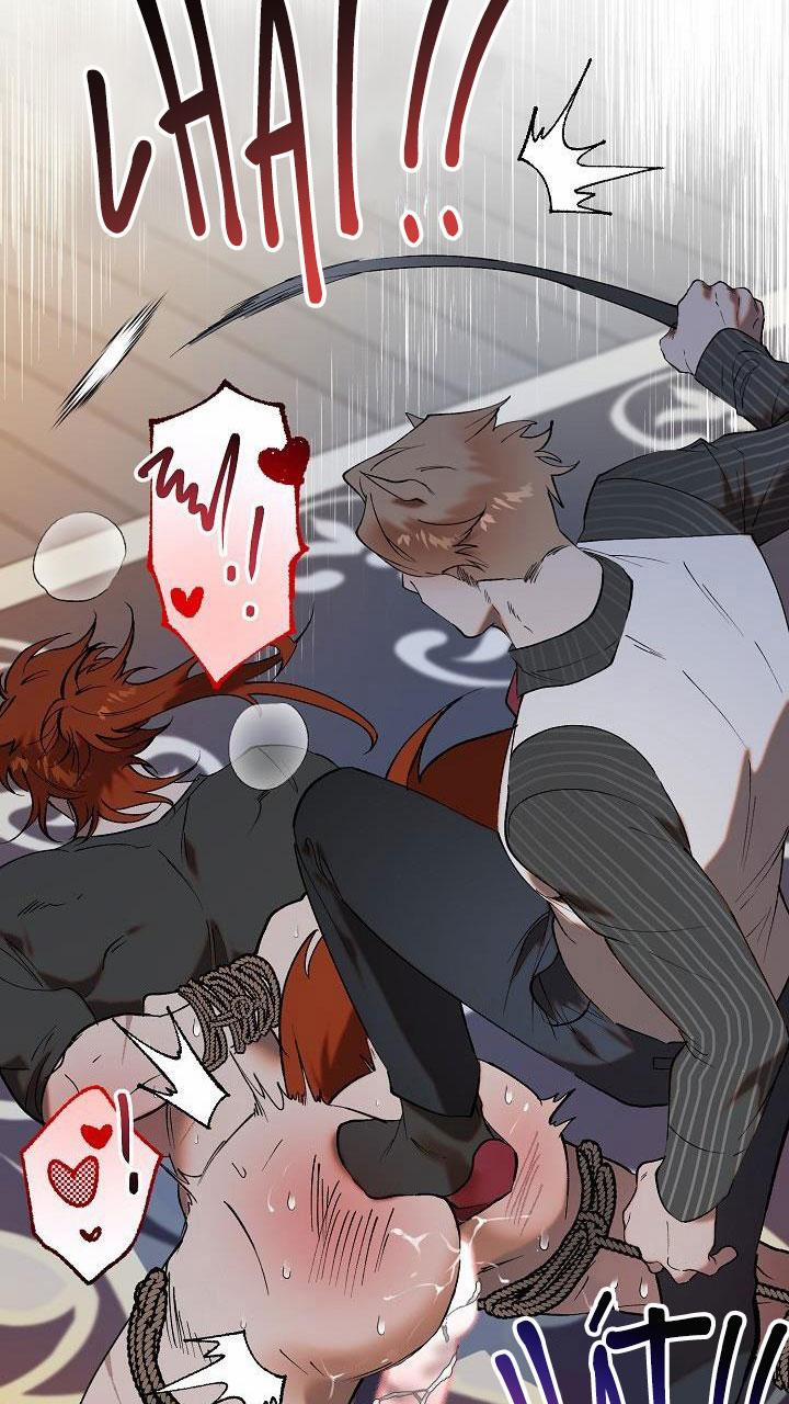 BA CHÚ HEO CON 6 trang 24