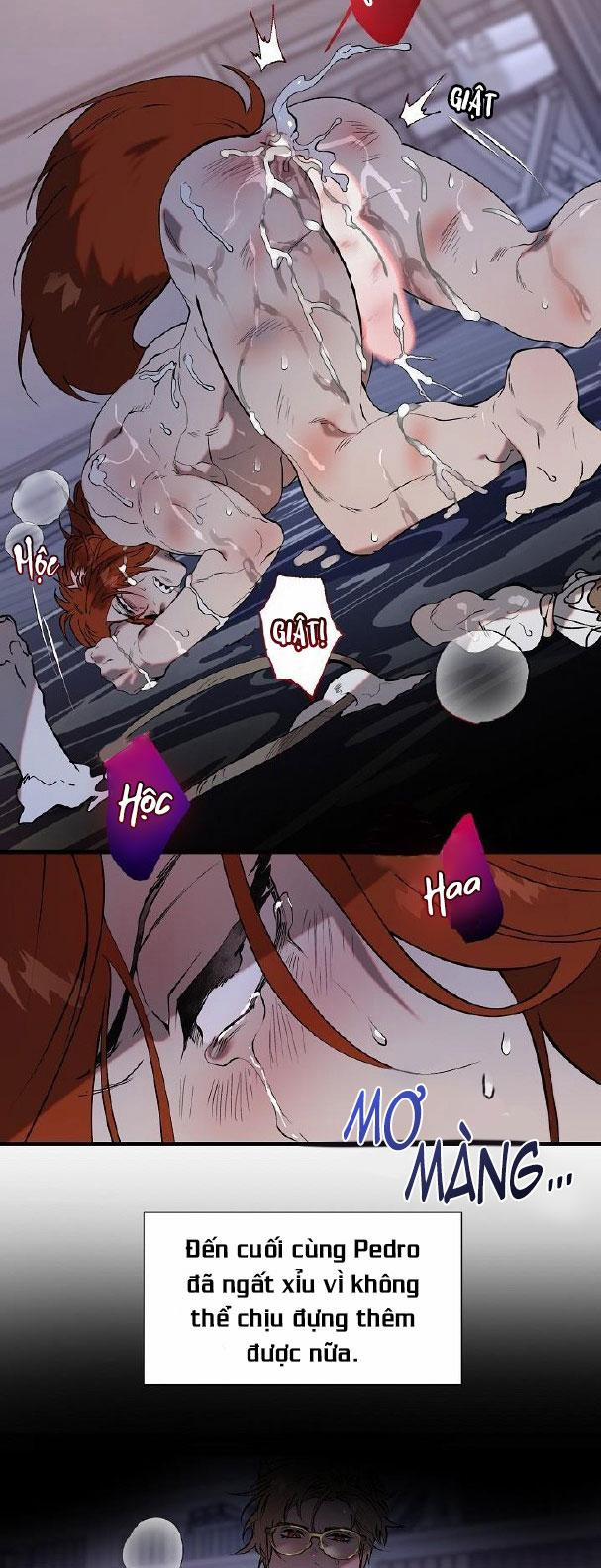 BA CHÚ HEO CON 7 trang 1