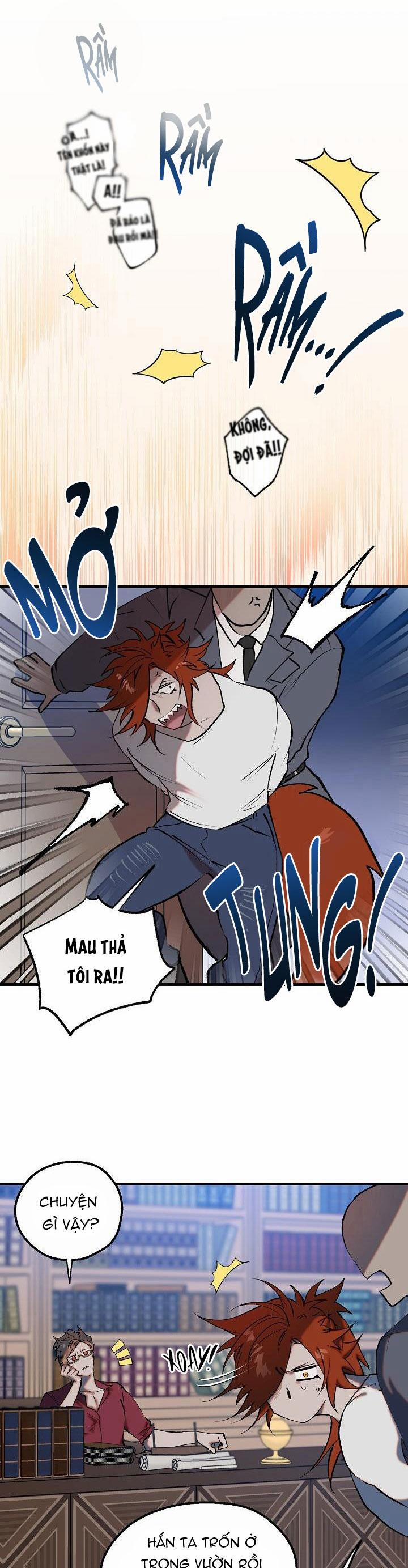 BA CHÚ HEO CON 8 trang 15