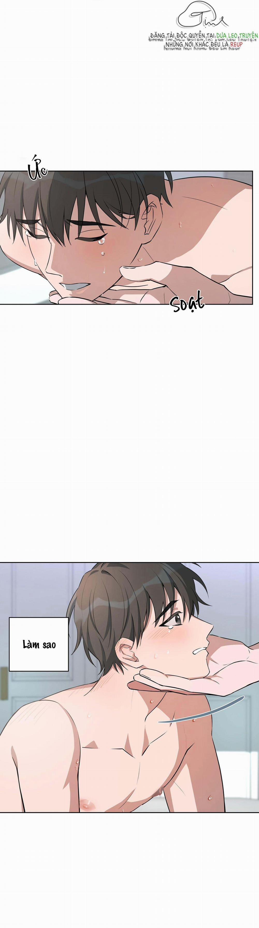 Ba ngày, làm thật 1 Không chỉ 1 cây trang 8