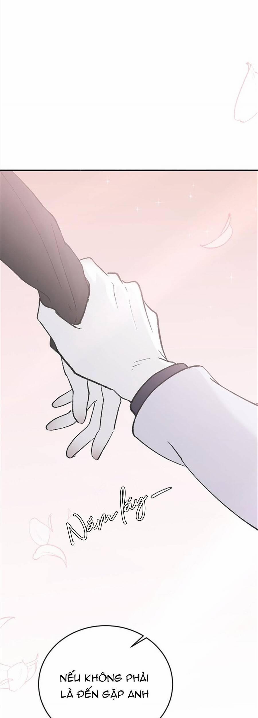 Ba Người Anh Trai 53 trang 41