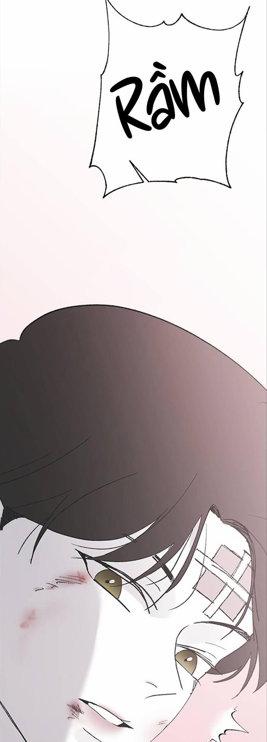 Ba Người Anh Trai 53 trang 63