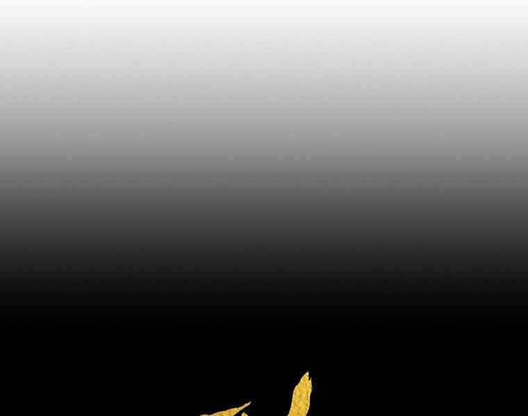 Bá Vương Chi Tinh 38 trang 163