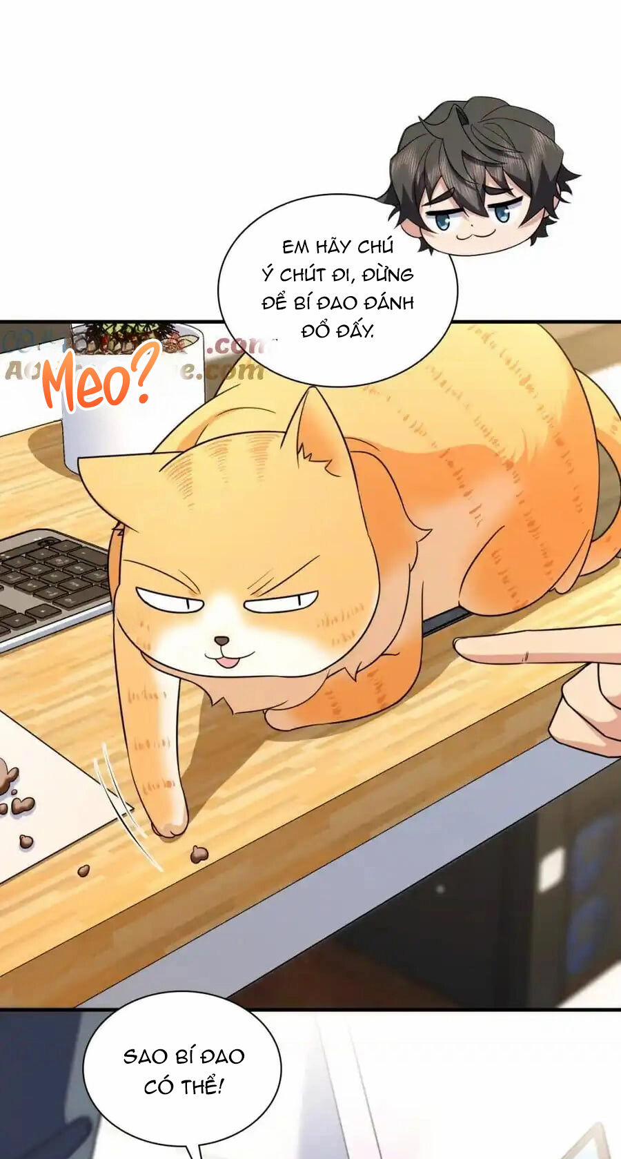 Bà Xã Nhà Tôi Đến Từ Ngàn Năm Trước 252 trang 36