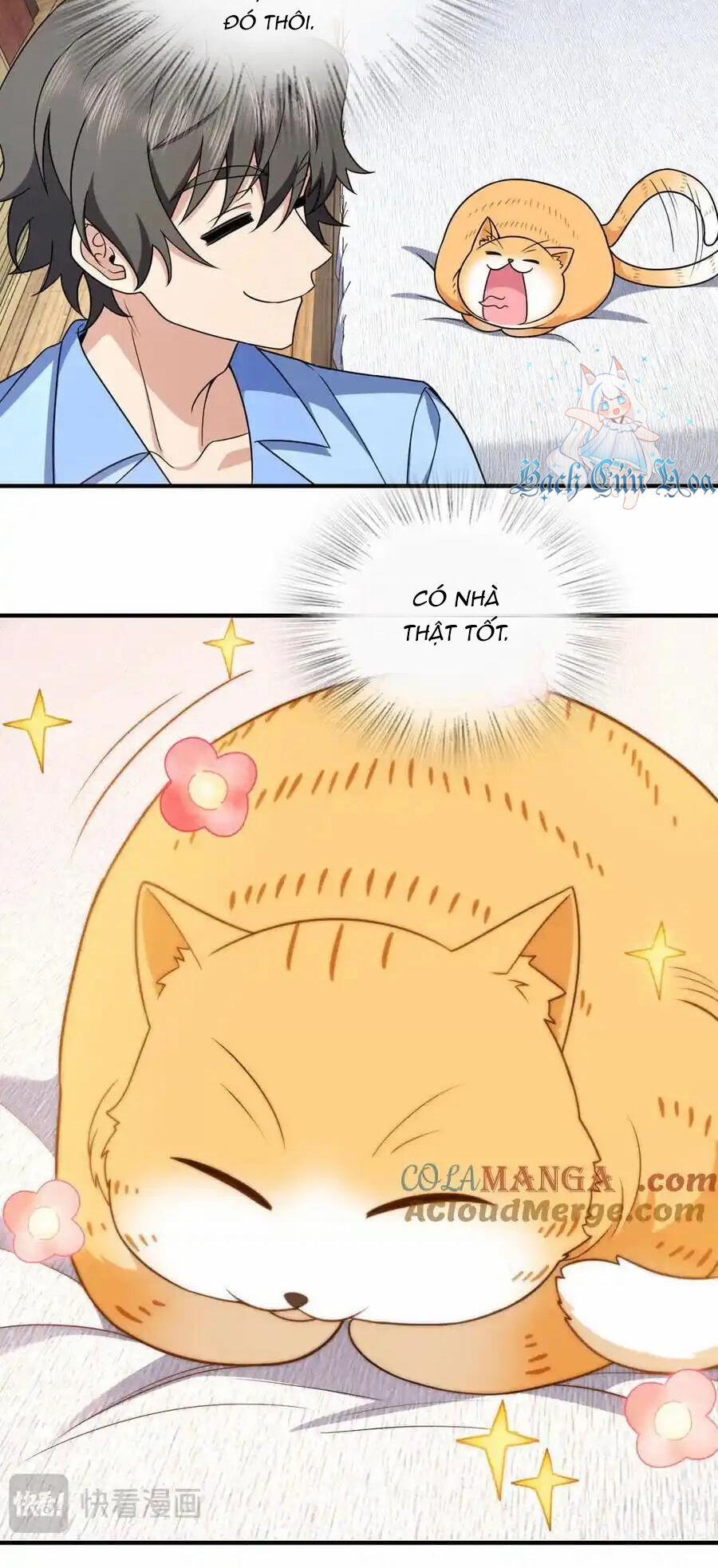 Bà Xã Nhà Tôi Đến Từ Ngàn Năm Trước 264 trang 17