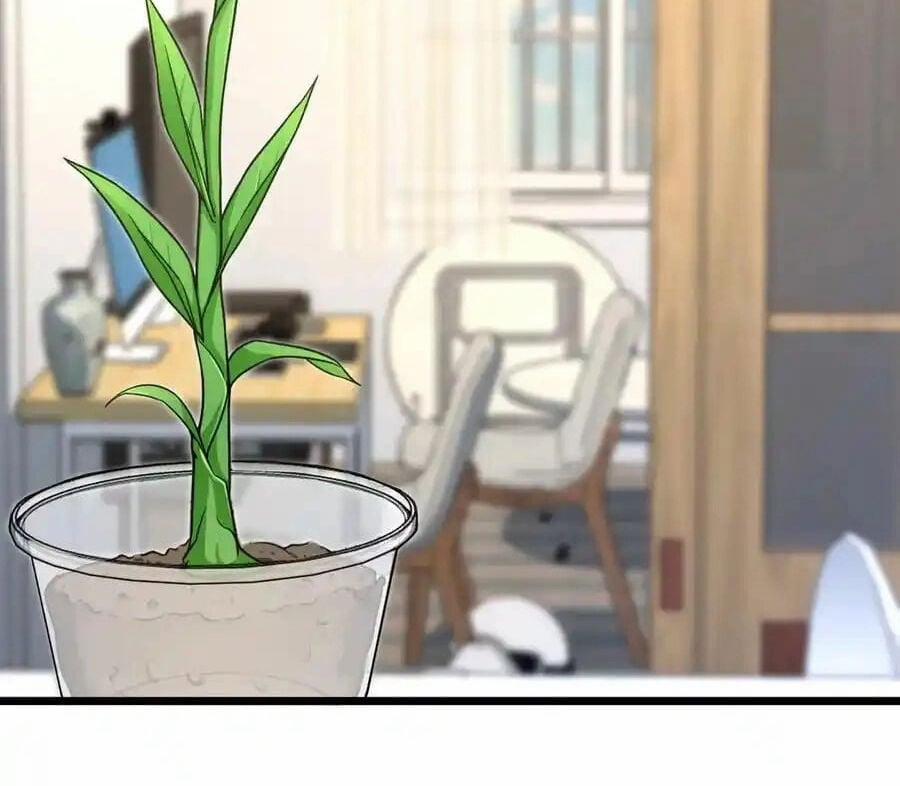 Bà Xã Nhà Tôi Đến Từ Ngàn Năm Trước 274 trang 41