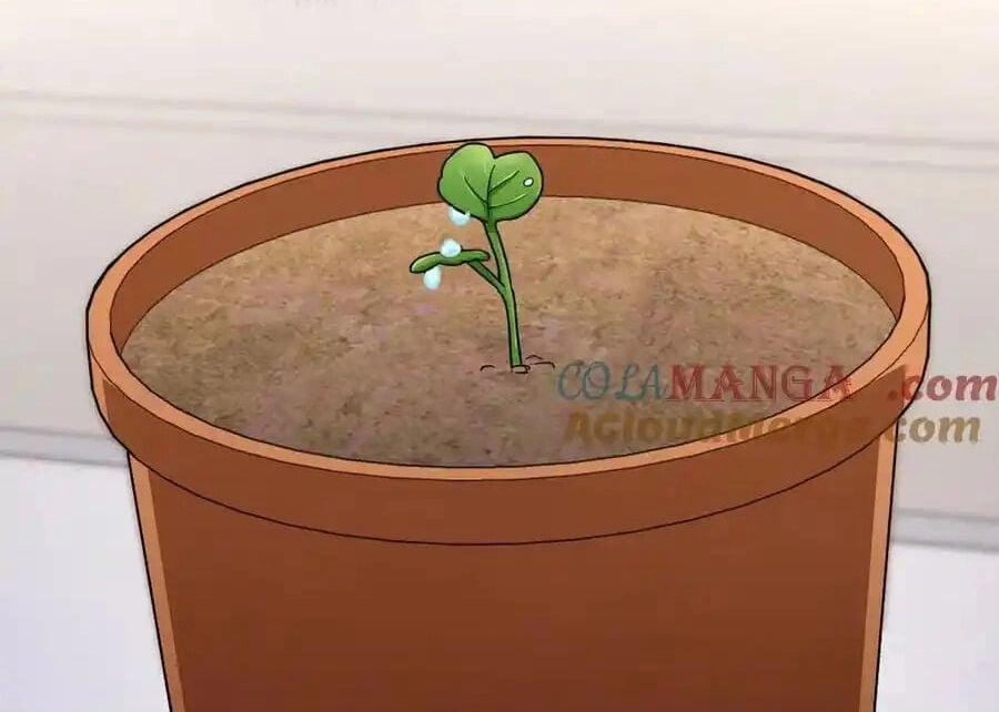 Bà Xã Nhà Tôi Đến Từ Ngàn Năm Trước 274 trang 45