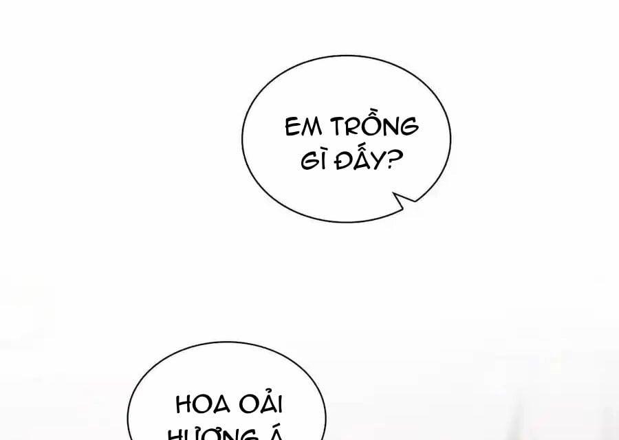 Bà Xã Nhà Tôi Đến Từ Ngàn Năm Trước 274 trang 50