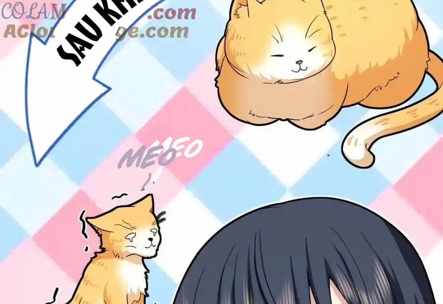 Bà Xã Nhà Tôi Đến Từ Ngàn Năm Trước 274 trang 90