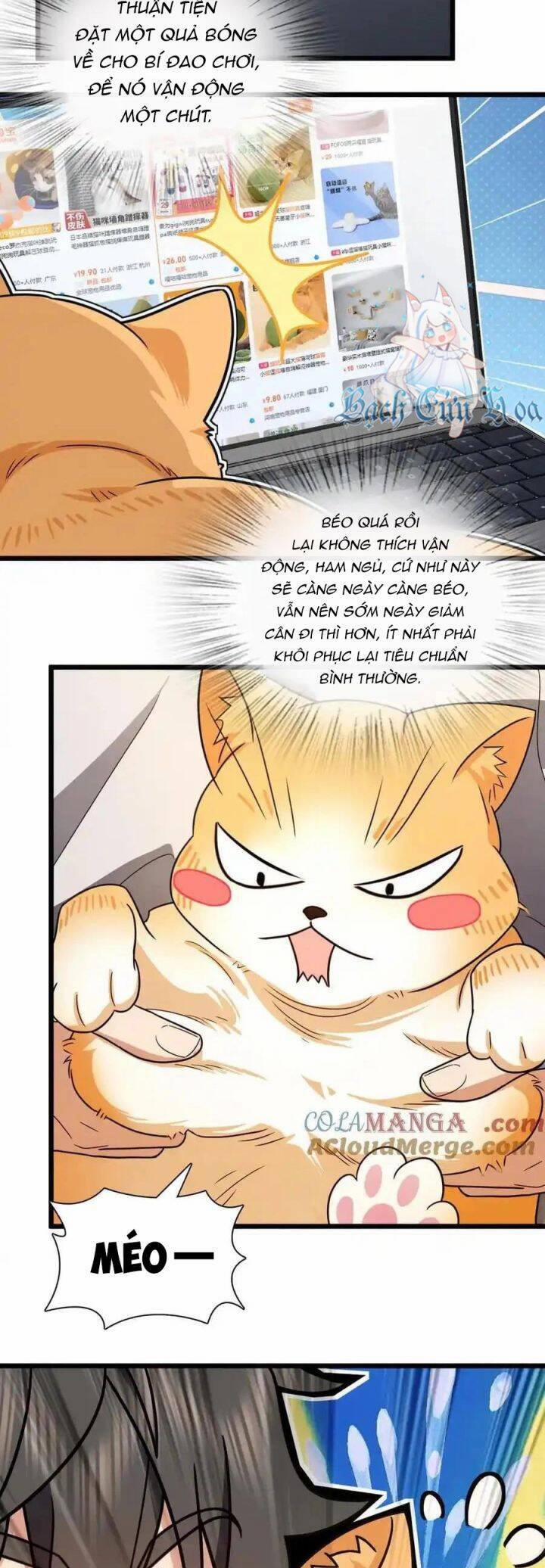 Bà Xã Nhà Tôi Đến Từ Ngàn Năm Trước 284 trang 27