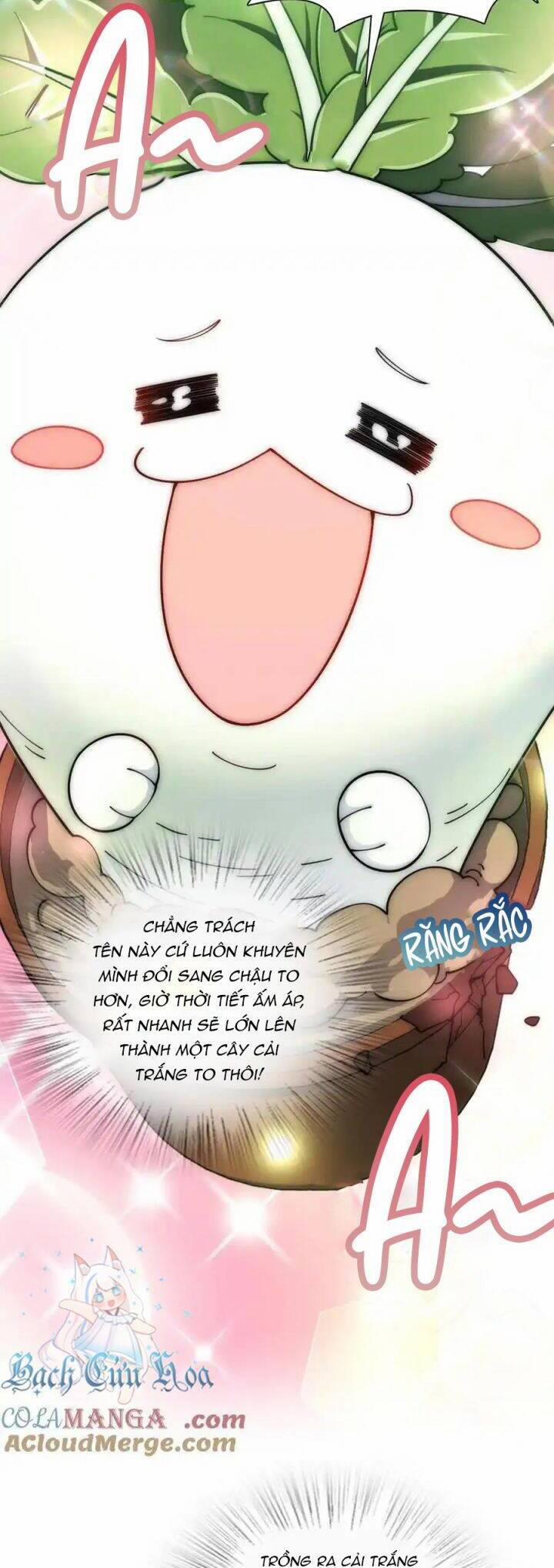 Bà Xã Nhà Tôi Đến Từ Ngàn Năm Trước 285 trang 11