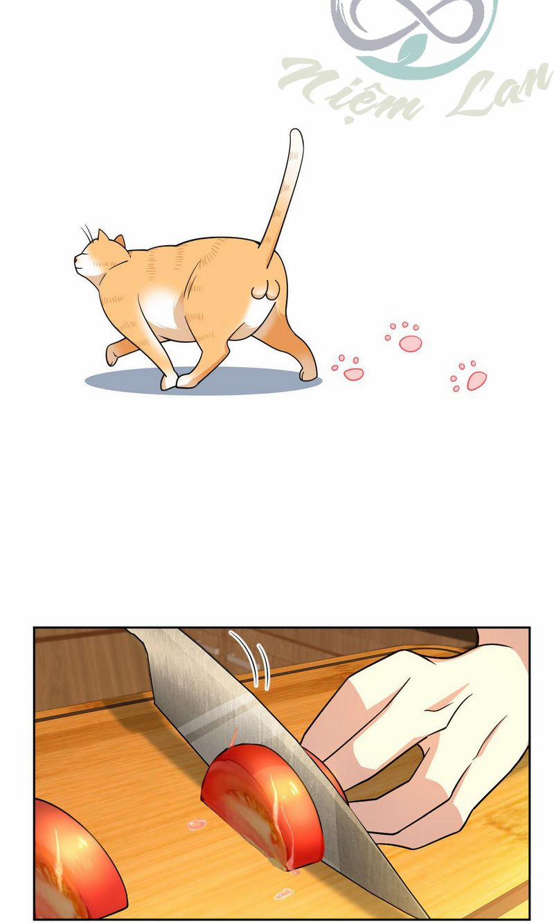 Bà Xã Nhà Tôi Đến Từ Ngàn Năm Trước 59 trang 36