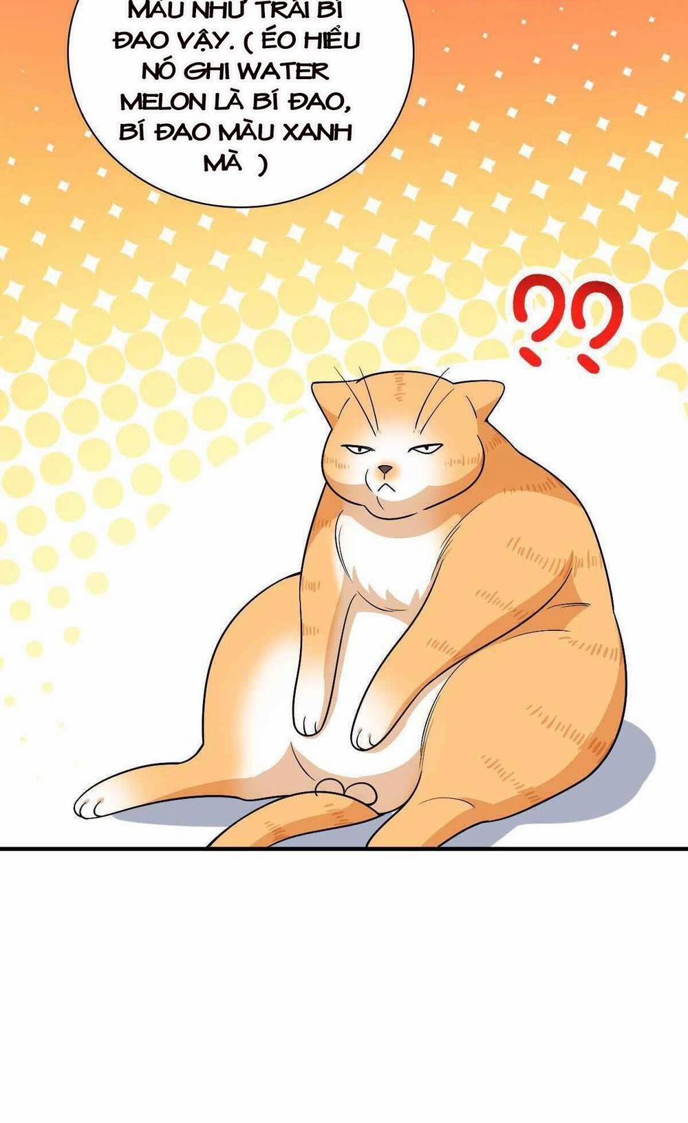 Bà Xã Nhà Tôi Đến Từ Ngàn Năm Trước 61 trang 44