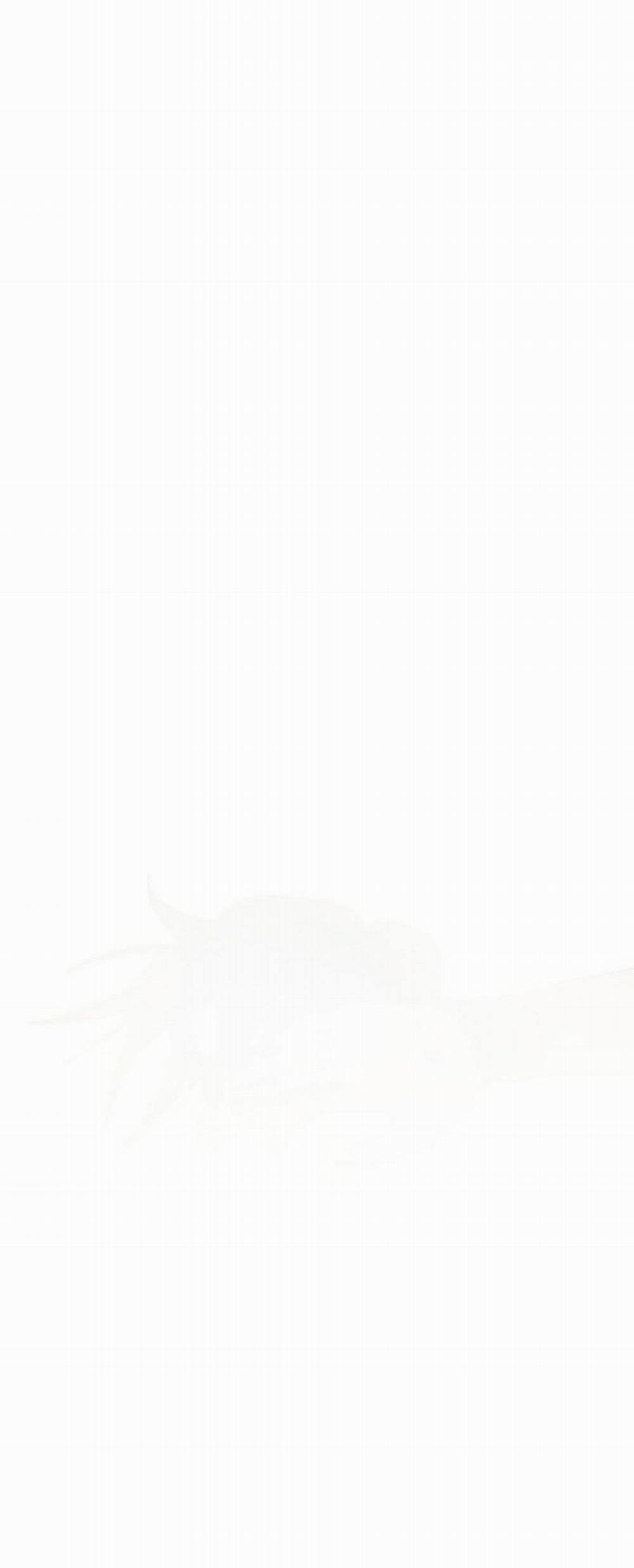 Bắc Kiếm Giang Hồ 100 trang 11