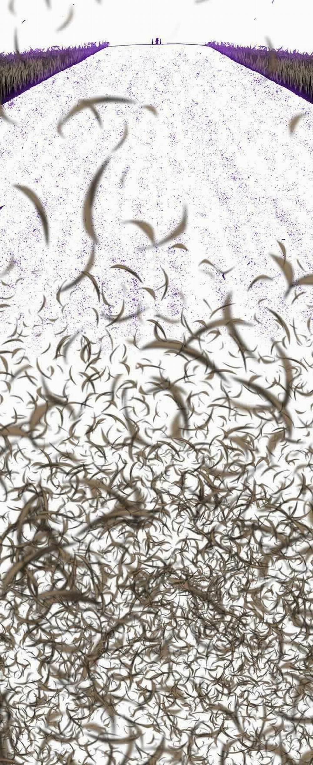 Bắc Kiếm Giang Hồ 80 trang 48