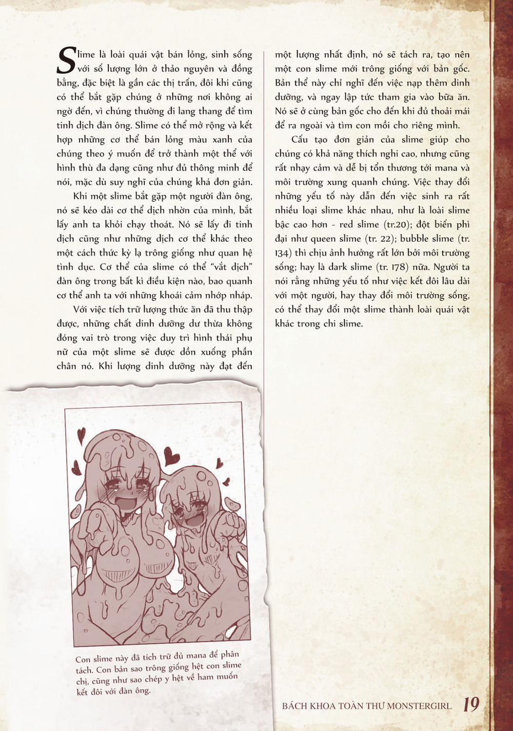 Bách khoa toàn thư Monster Girl 3 0 4 0 0 Slime, Red slime và Queen slime trang 1