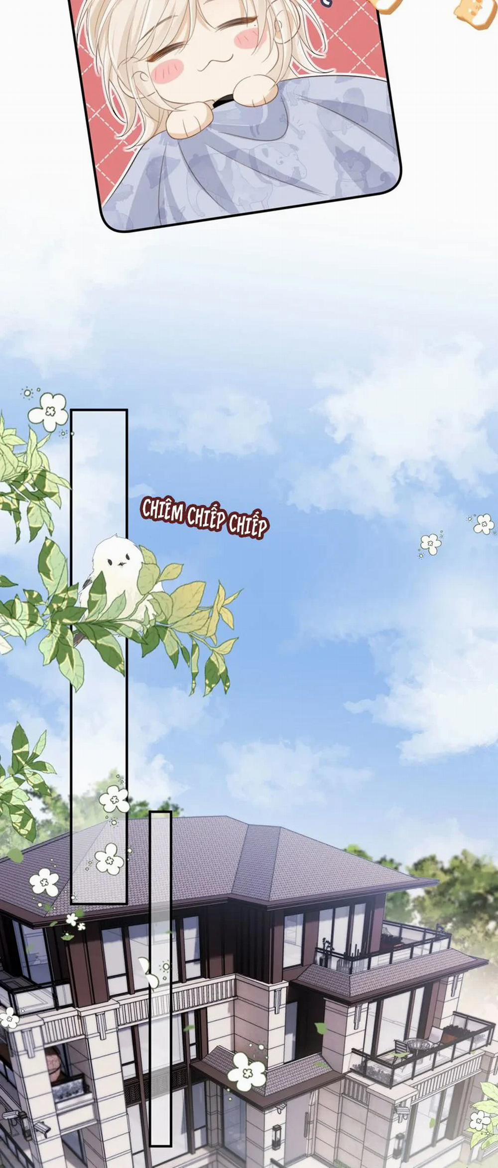 Bạch Nguyệt Quang Hắn Yêu Thế Thân Rồi Sao?! 8 trang 13