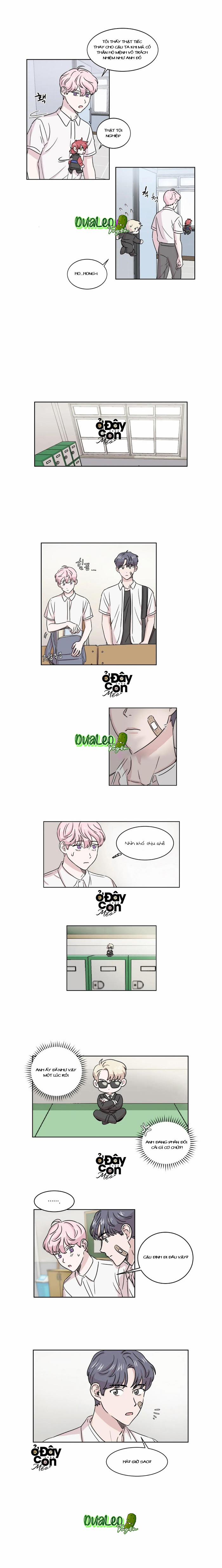 Bạn Có Biết Về Thiên Thần Hộ Mệnh Không 5 trang 3