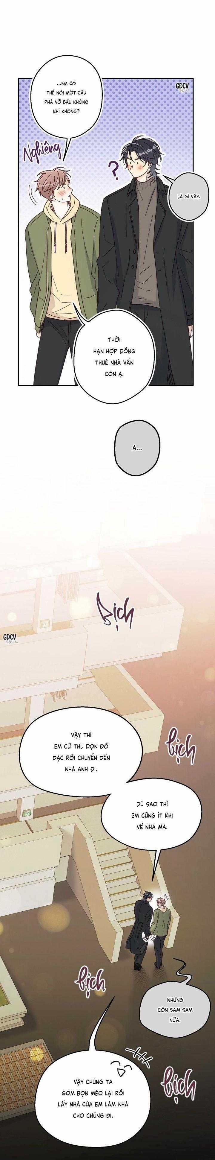 Bạn Trai Vô Song Của Tôi 28 trang 21