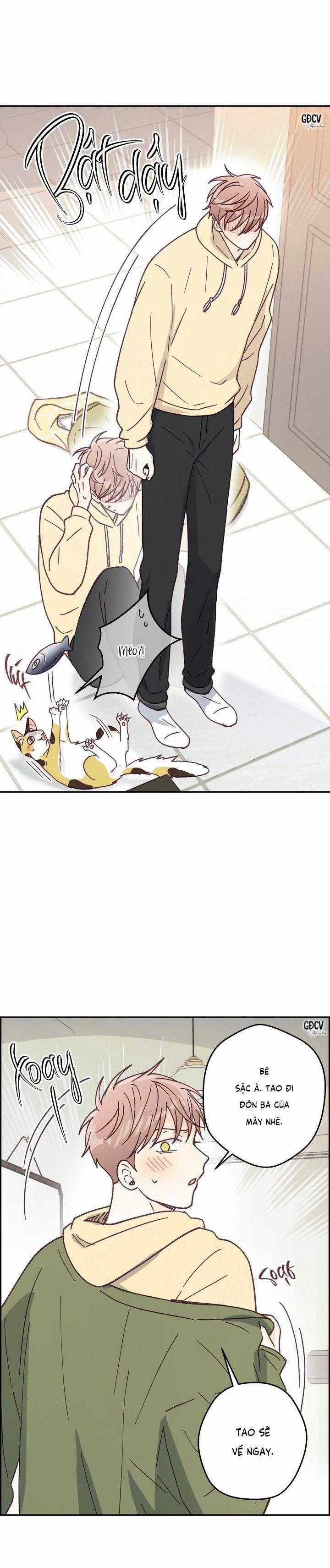 Bạn Trai Vô Song Của Tôi 28 trang 5