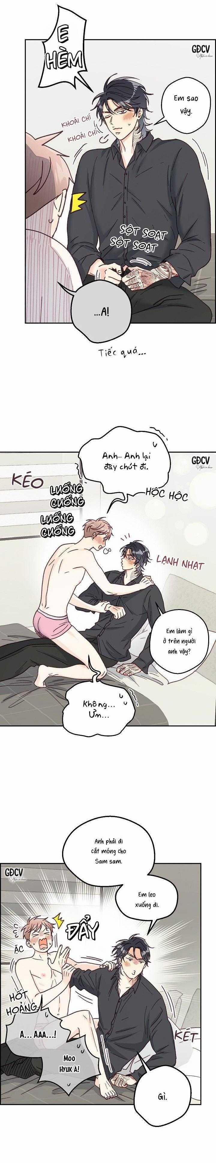 Bạn Trai Vô Song Của Tôi 31 trang 8