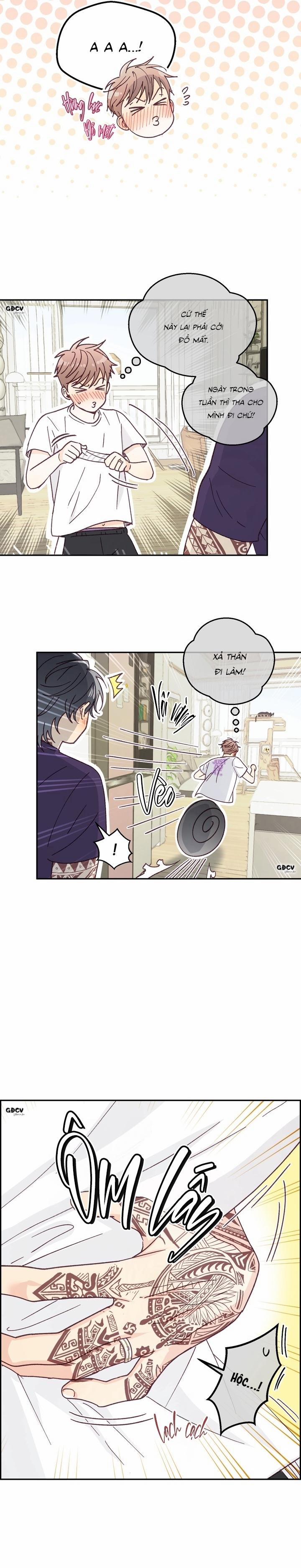 Bạn Trai Vô Song Của Tôi 33 NT1 0 trang 16