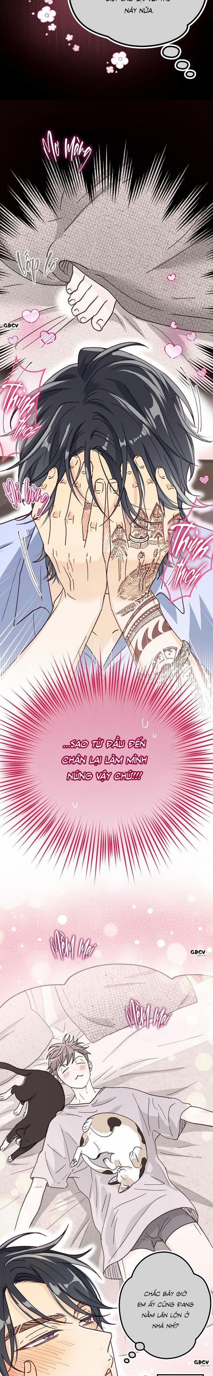 Bạn Trai Vô Song Của Tôi 34 NT2 0 trang 2