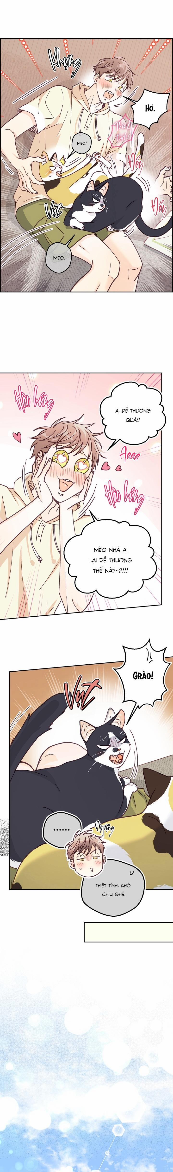 Bạn Trai Vô Song Của Tôi 35 NT3 H+ trang 14