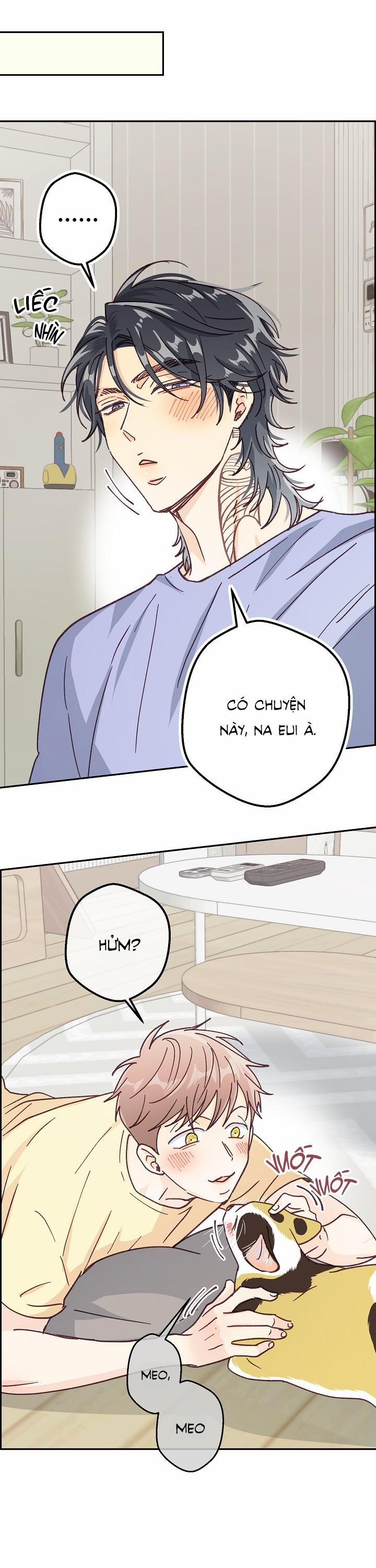 Bạn Trai Vô Song Của Tôi 37 NT5 trang 13