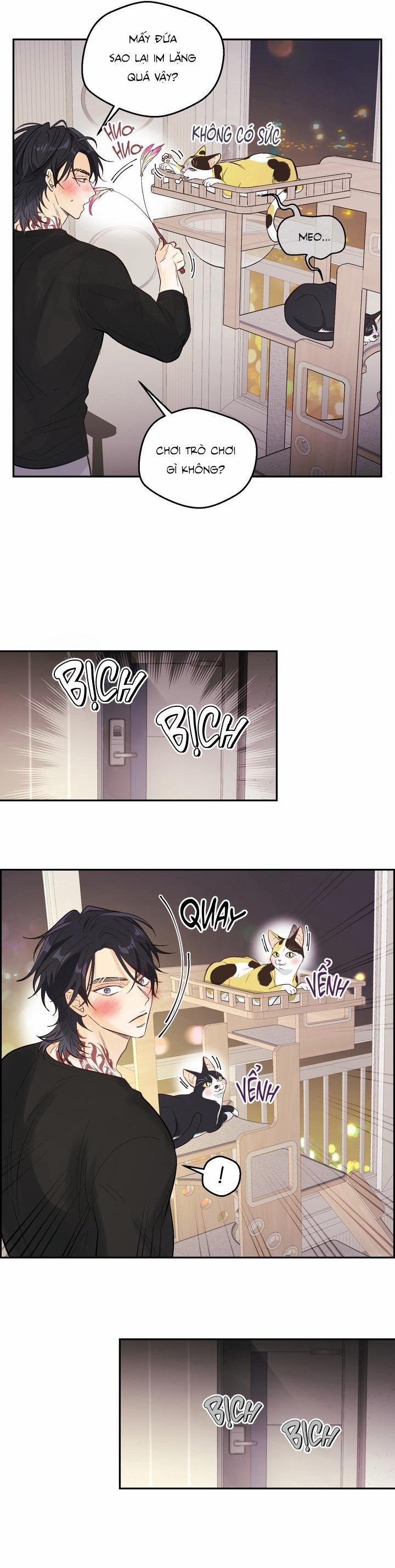 Bạn Trai Vô Song Của Tôi 38 Tập đặc biệt 1 trang 19