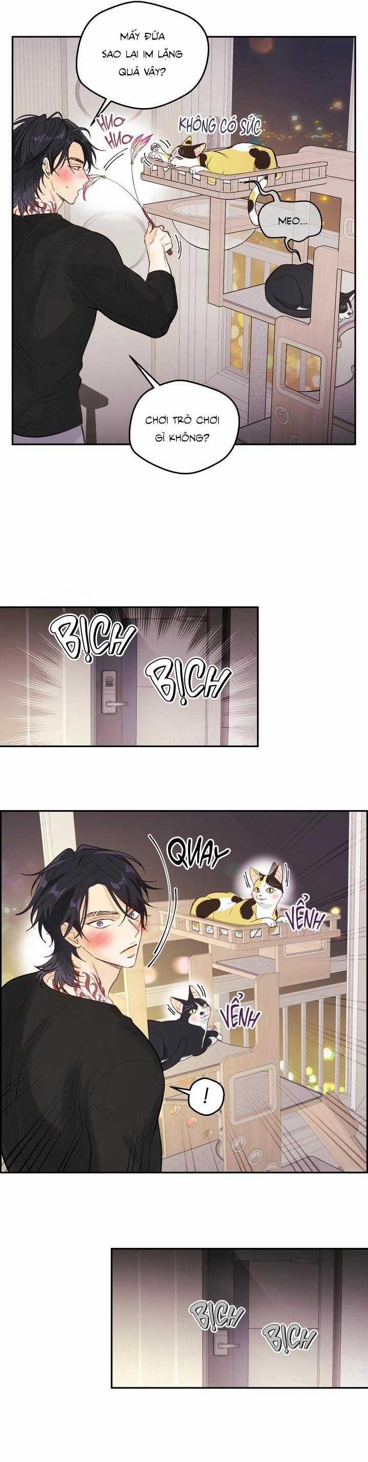 Bạn Trai Vô Song Của Tôi 38 trang 19