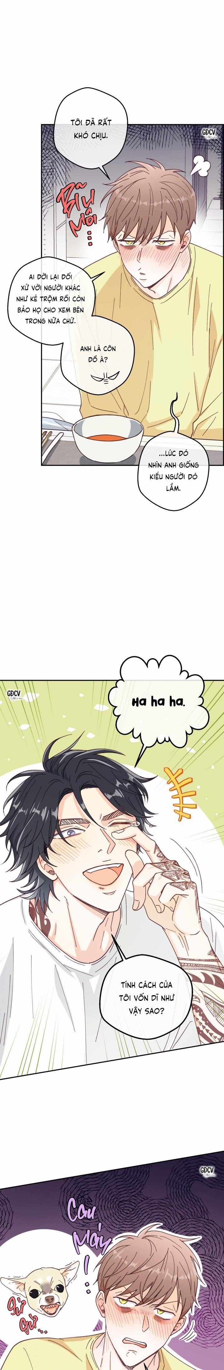 Bạn Trai Vô Song Của Tôi 4 trang 19