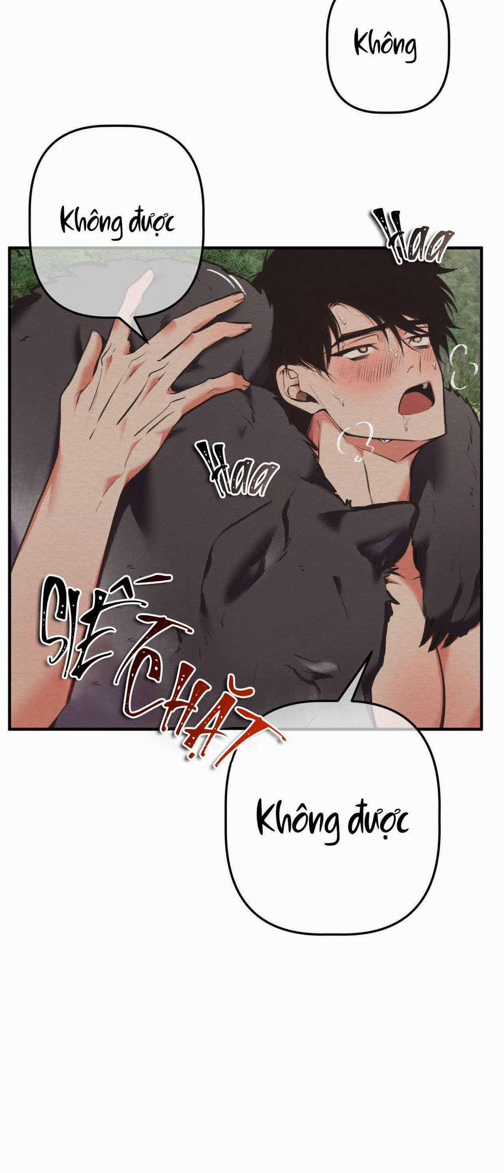 Bánh Quy Tình Yêu Tan Chảy 17 trang 24