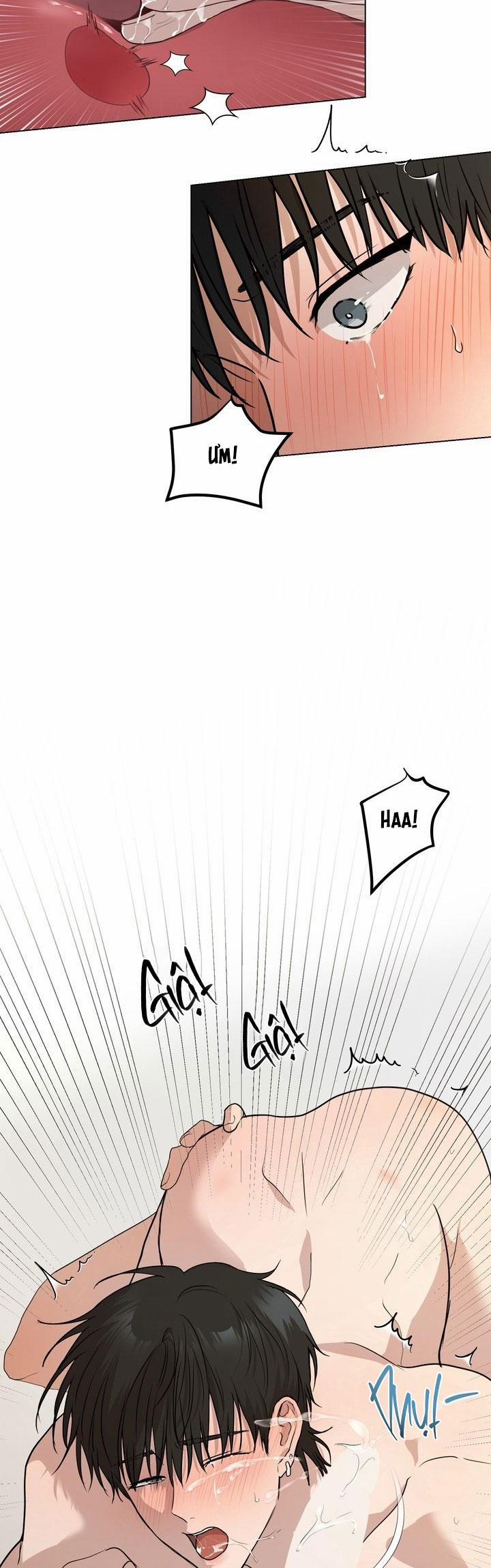 Bánh Quy Tình Yêu Tan Chảy 22 trang 17