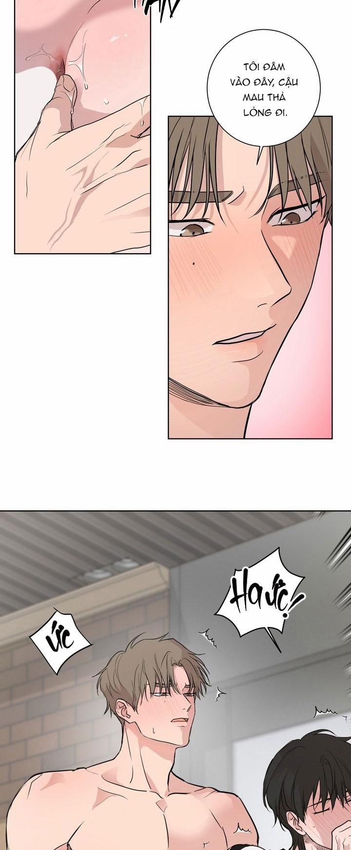 Bánh Quy Tình Yêu Tan Chảy 26 trang 14