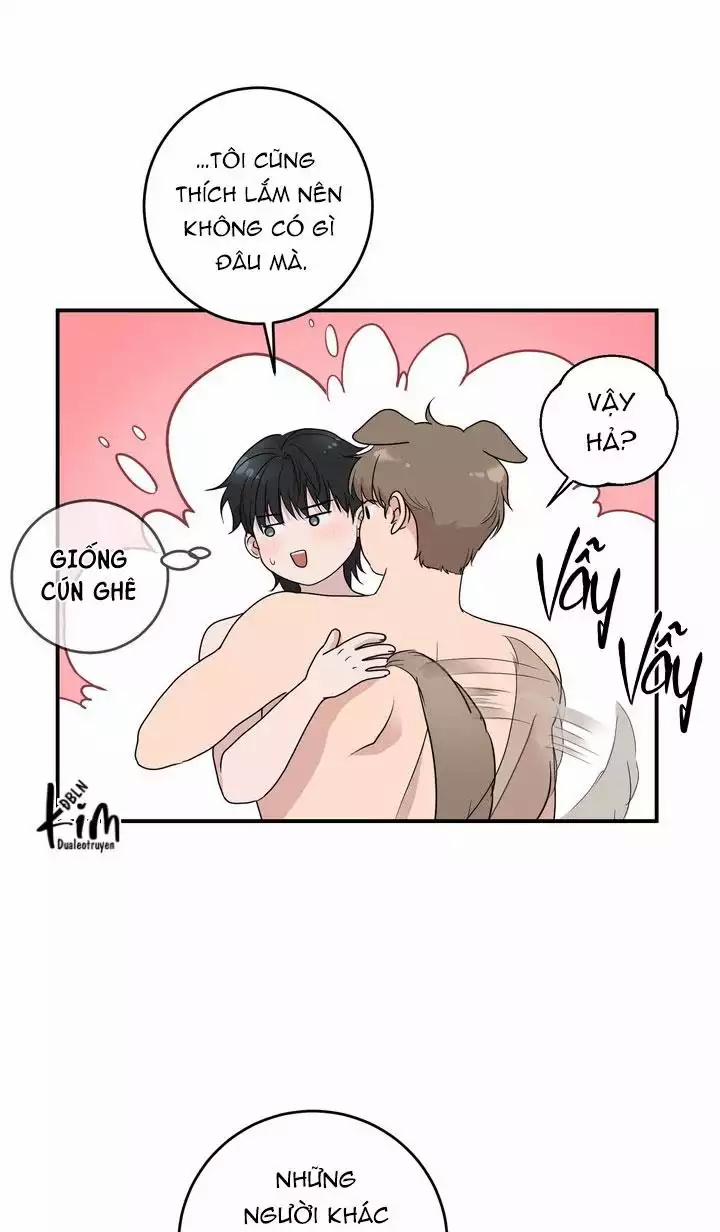 Bánh Quy Tình Yêu Tan Chảy 27 trang 11